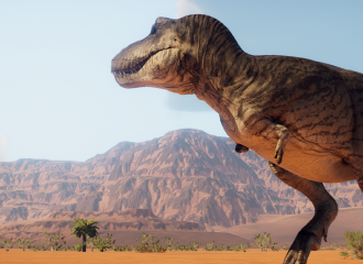 Preview: Desert
